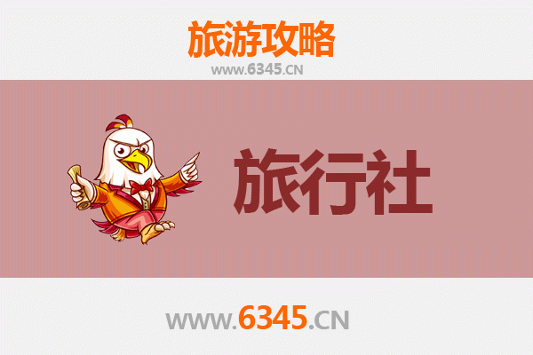 潍坊潍城本地旅行社推荐：深度体验风筝之都的文化魅力